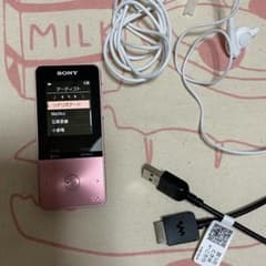 SONY ウォークマン NW-S313 ピンク 4GBのサムネイル