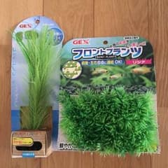 フロントプランツ、プランテリアのサムネイル
