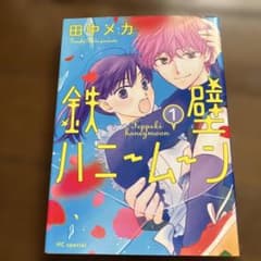 鉄壁ハニームーン 1巻 田中メカ - メルカリ