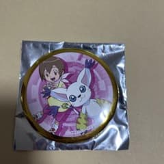 デジモンアドベンチャー ヒカリ テイルモン缶バッジ - メルカリ