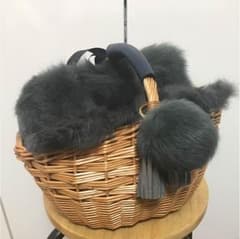 kakatoo カカトゥ  かごバッグのサムネイル