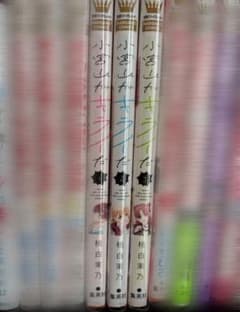 小宮山がキライだ 1~3巻セットのサムネイル