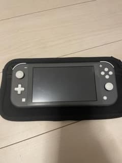 Switch ライト　グレーのサムネイル