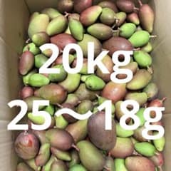 摘果マンゴー20kg - メルカリ