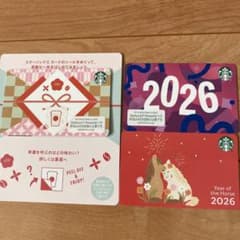 m83088101062_1.jpg?1768261546