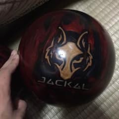 ジャッカルのサムネイル