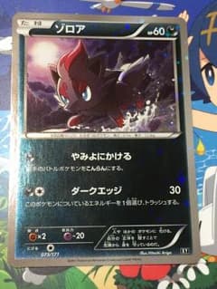 ゾロア ミラー仕様 寿様 専用のサムネイル