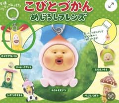 【新品未開封】こびとづかんめじるしフレンズ ホトケアカバネのサムネイル