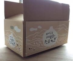 送料無料 淡路島 玉ねぎ 10キロ 秀品 贈り物にものサムネイル