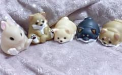 やわもっち まめしば ラビットのサムネイル