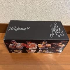r*e様 ももちょこ本人直筆サイン入り ストリートファイター 25周年記念
