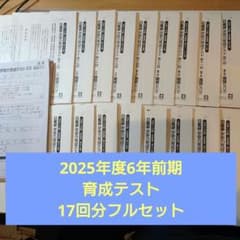 日能研　最新版2025年　6年前期　育成テストフルセット(17回分) 2025年度6年生前期育成テスト 日能研 - メルカリ