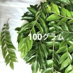 新鮮 カレーリーフ 料理用100グラムのサムネイル