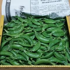 スナップエンドウB品800グラムのサムネイル