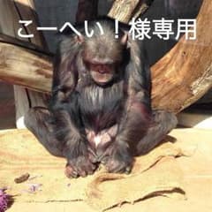 こーへい！様専用のサムネイル