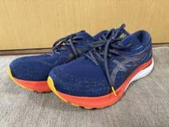 アシックス ゲルカヤノ29 29cm 4E(幅広)