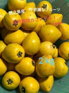 自然栽培カニステル！　２kgのサムネイル