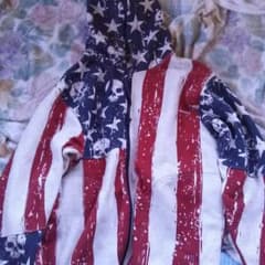 アメリカンなパーカーですのサムネイル