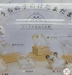 犬型ペット毛入れ物 【プードル】のサムネイル