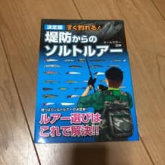 決定版 すぐ釣れる!堤防からのソルトルアーのサムネイル
