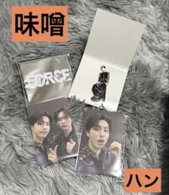 Stray Kids FORCE シーグリ　味噌　ハン Stray Kids FORCE シーグリ 味噌 ハン - メルカリ