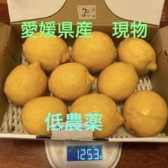 ⑦愛媛県産低農薬レモン9個1253gのサムネイル