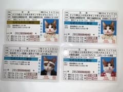 なめ猫カード【ゴールド入り12枚セット】のサムネイル