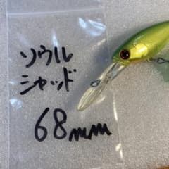 ❤️バス釣りBASSフィッシング　　　　　 爆釣ルアー　めちゃくちゃ釣れます。のサムネイル