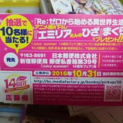 MF文庫14周年フェア！ 応募券  ノーゲーム・ノーライフのサムネイル