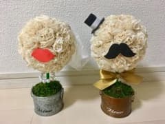 ペパナプトピアリーのサムネイル
