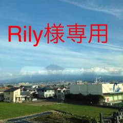 Rily様専用です。のサムネイル