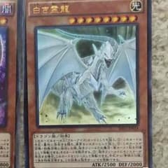 白き霊龍のサムネイル