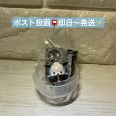 サンリオ　ソリッドアンドクールスタイル めじるしアクセサリー　ポチャッコのサムネイル