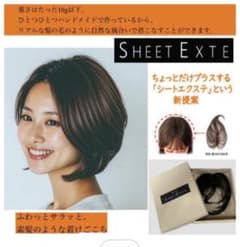 ⭐︎新品未使用Choi⭐︎シートエクステ　ウィッグ choi ウィッグ - メルカリ