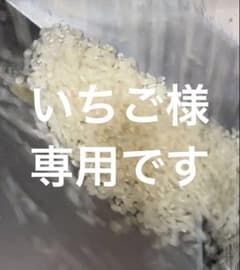 リピート割引令和7年愛知県産 あいちのかおり【精米20kg】送料込 お米