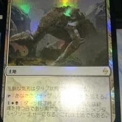 【MTG】乱脈な気孔 foil【日版】のサムネイル