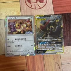ポケモンカード イーブイ ブラッキー&ダークライGX 2枚セットのサムネイル