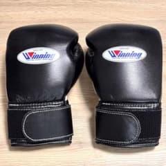 So*to-sama Winning Boxing Gloves 8oz Black MS