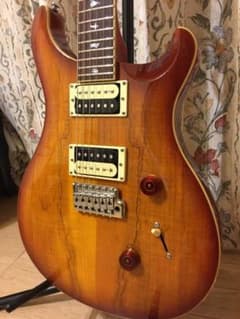 PRS SE custom 24 SPALTのサムネイル