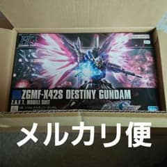 機動戦士ガンダム　SEED DESTINY HG　デスティニーガンダム