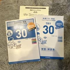 TRY 30 2025 リスニングテストのサムネイル