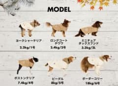 新品 LIFELIKE 犬用 ワークジャケットポンチョ アイボリー 4号
