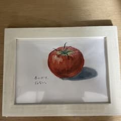 トマトの水彩画 白フレーム - メルカリ