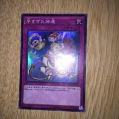 早すぎた帰還ですのサムネイル