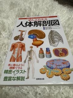 ぜんぶわかる人体解剖図 坂井建雄 橋本尚詞のサムネイル