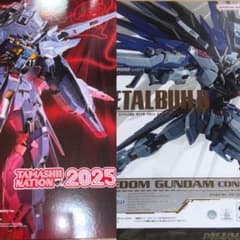 METAL BUILD　メタルビルド　フリーダムガンダム プロヴィデンスガンダム