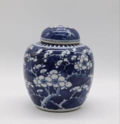 中国　清時代　康熙年製　染付　雙龍紋壺　アンティーク　送料込み260305 超美品 中国 清時代 康熙年製 氷梅紋茶壺 アンティーク 古物保証