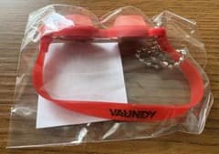 Vaundy 바운디 캡슐 장난감 고무 열쇠 고리 신품 미사용