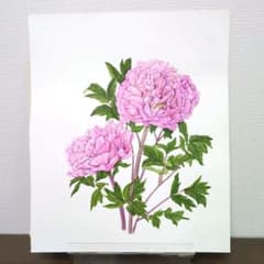 水彩画 (シャクヤク)原画 マット無し - メルカリ