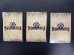 M*o様 ドラゴンクエストカードゲーム トイザらス オリジナルプレミア